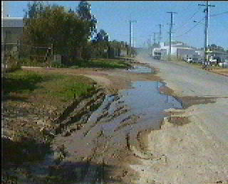 looking across the driveway to the east.